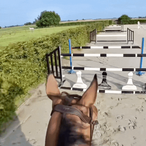 MagLens™ - sports and activity camera